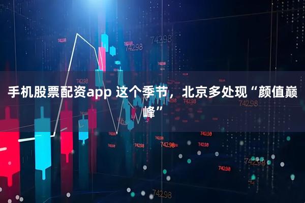 手机股票配资app 这个季节，北京多处现“颜值巅峰”